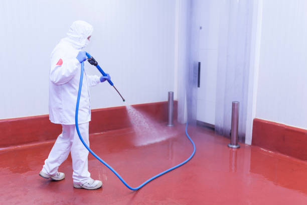 Best Warehouse Cleaning  in Cedar Hill, MO