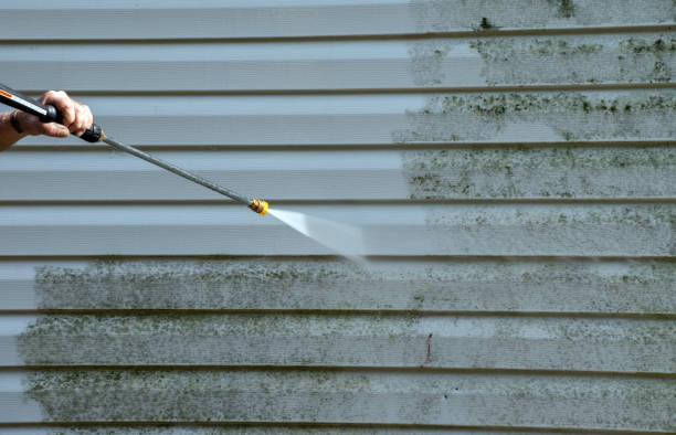 Best Solar Panel Cleaning  in Cedar Hill, MO
