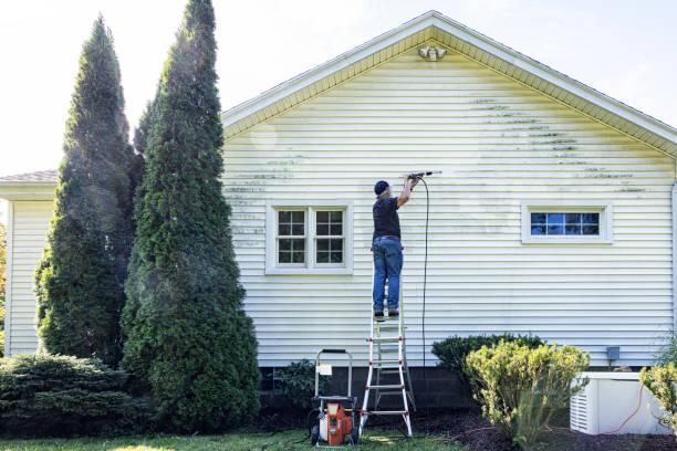 Solar Panel Cleaning in Cedar Hill, MO